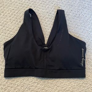 Whitney Simmons V2 sports bra